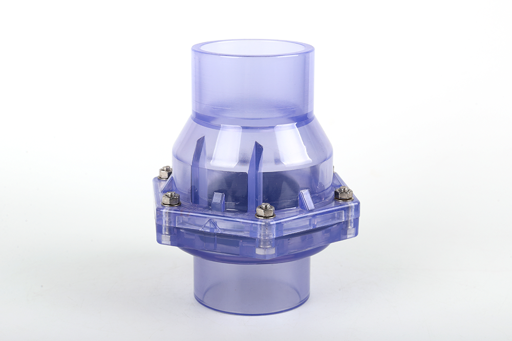 那坡透明翻板式止回阀